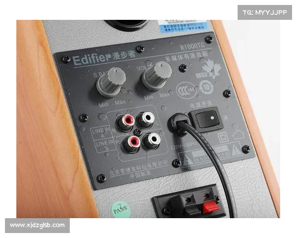 R1000TC北美版详解：功能优势、性能表现与实用体验全解析