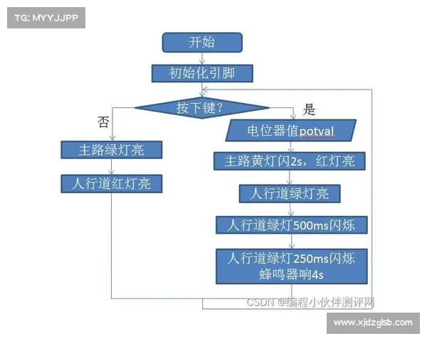 石中盐提取技术转化过程的全面解析与应用前景探讨