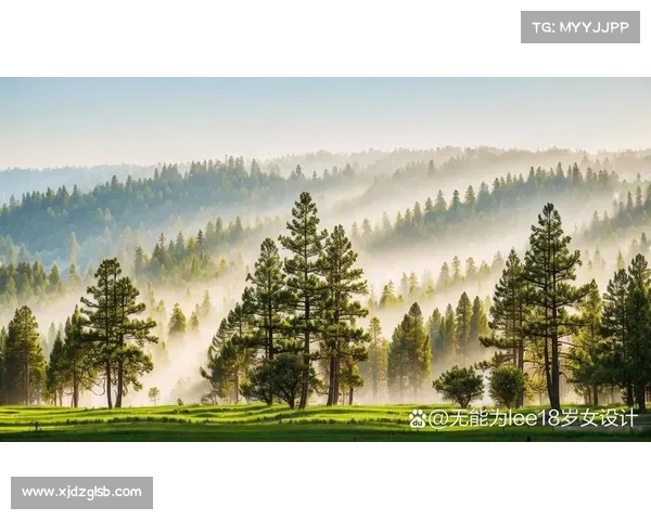 七大理由带你沉浸于永歌森林绿意之旅，感受大自然的诗意与宁静