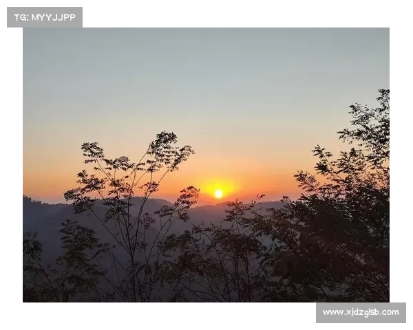 享受乡村丰盈生活的七种方式让心灵和身体共同放松