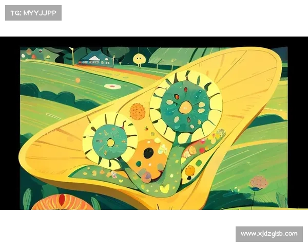 探索全球多元文化与自然奇观的完美指南 带你领略世界的奇妙与多样