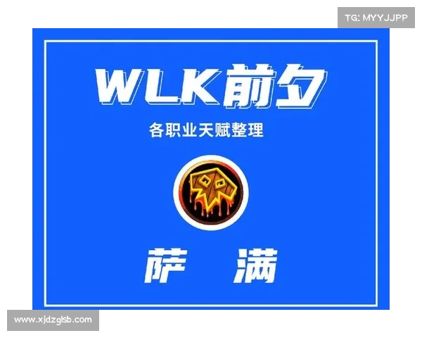 提升元素萨满输出的十个高效方法解析与实践指南