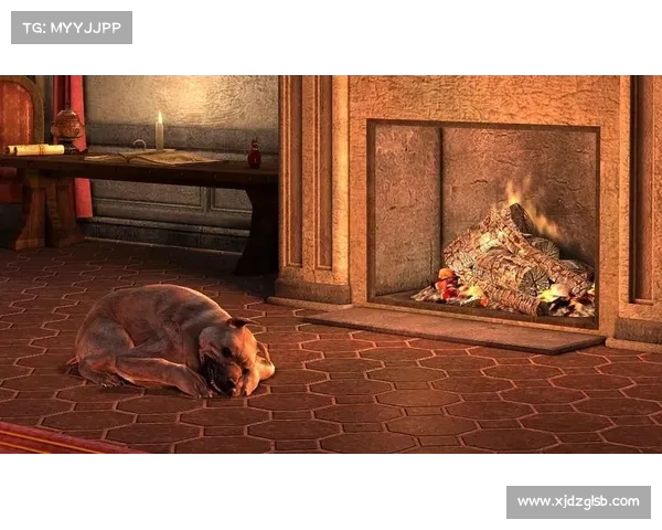 《龙腾世纪2》DLC扩展内容全面解析与深度评测全方位剖析