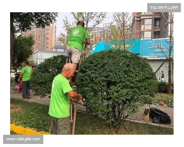 卷帘绿魔的生态养护全攻略与生长环境优化技巧分享