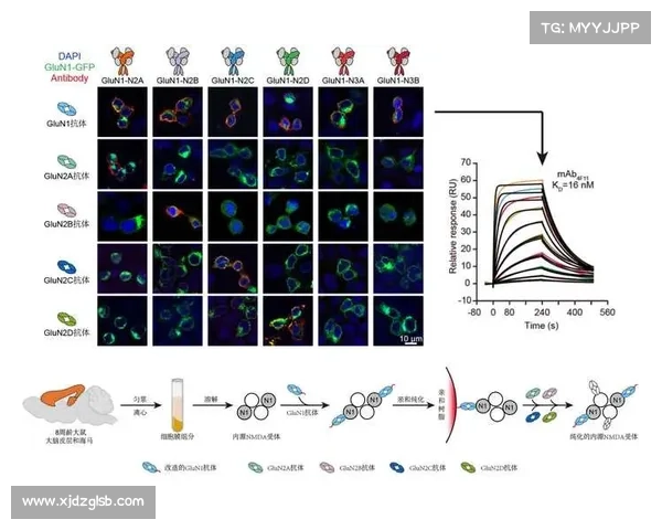 沼光湖真相揭秘探索神秘现象背后的关键因素与科学解析