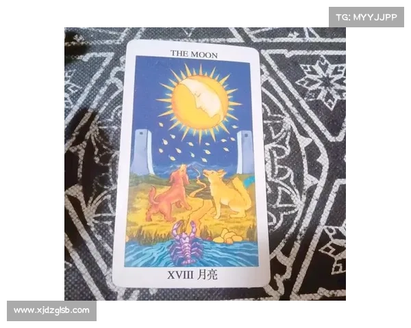 月光洒下的指引如何在夜晚寻找失落的灵魂与其归宿