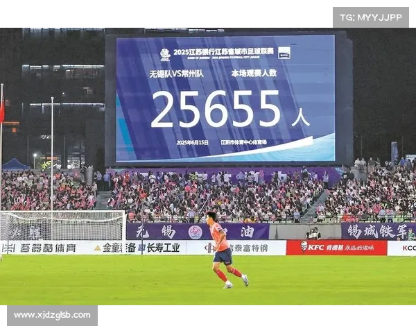 巴西足球联赛球迷文化的多元性与热情表达探索 巴西足球联赛球迷文化的多元性与热情表达探索