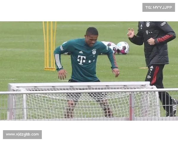 德甲各队伤病情况更新：主力缺阵与恢复进展一览