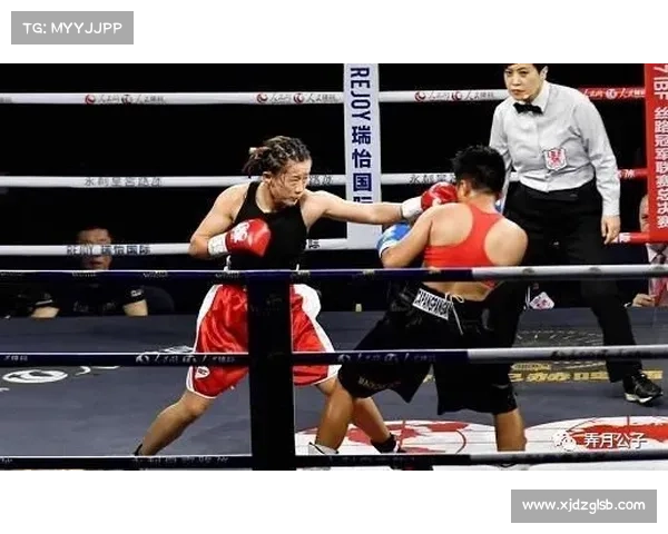 拳击比赛背后揭秘：精彩赛事安排与独特赛制全解析